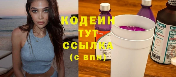 мдпв Ельня