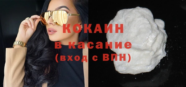 мдпв Ельня