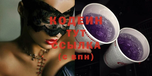 мдпв Ельня
