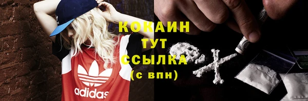 прущие крисы Елабуга