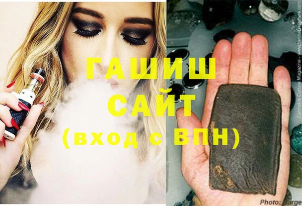 мдпв Ельня