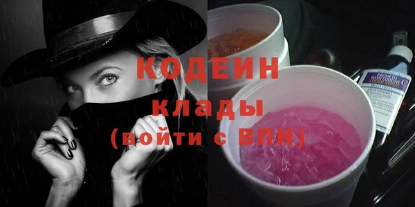 мдпв Ельня