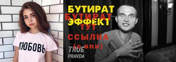 мдпв Ельня