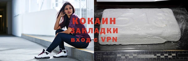мдпв Ельня