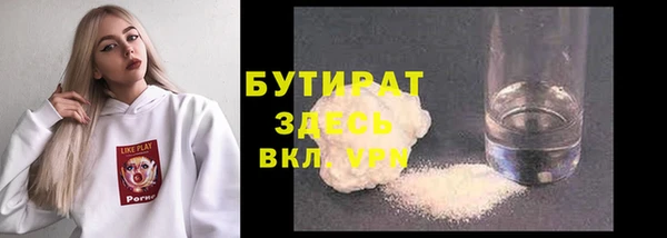 мдпв Ельня