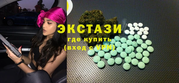 мдпв Ельня