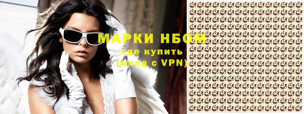 Альфа ПВП Елизово