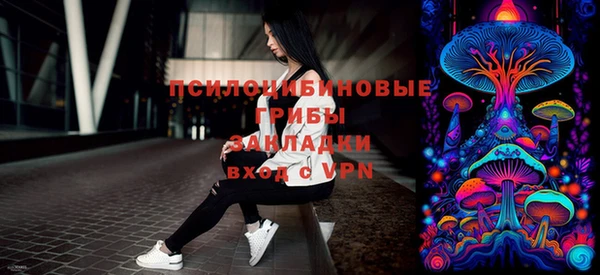 прущие крисы Елабуга