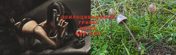 Альфа ПВП Елизово