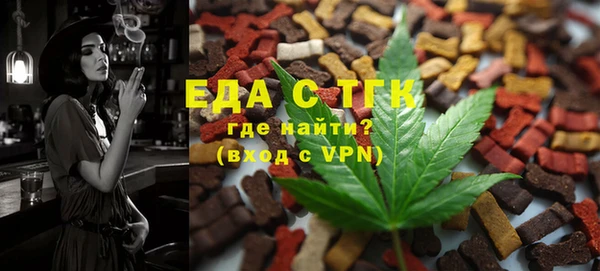 мдпв Ельня