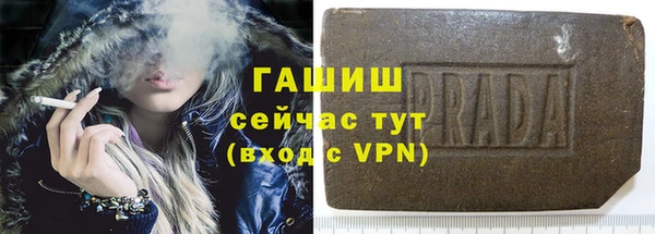 мдпв Ельня