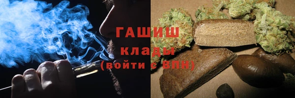 мдпв Ельня